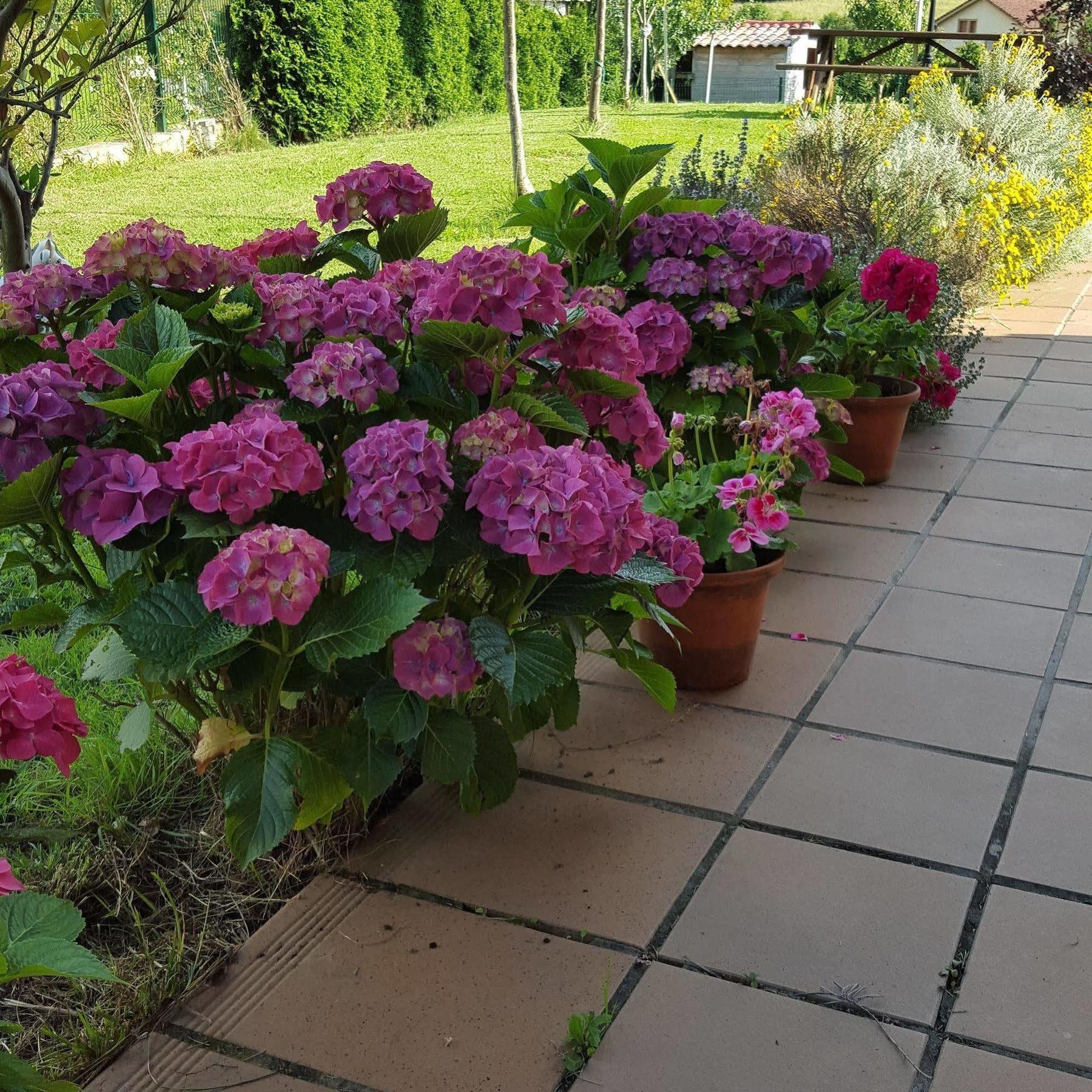 Hotel Rural Foncubierta 索托-德尔巴科 外观 照片