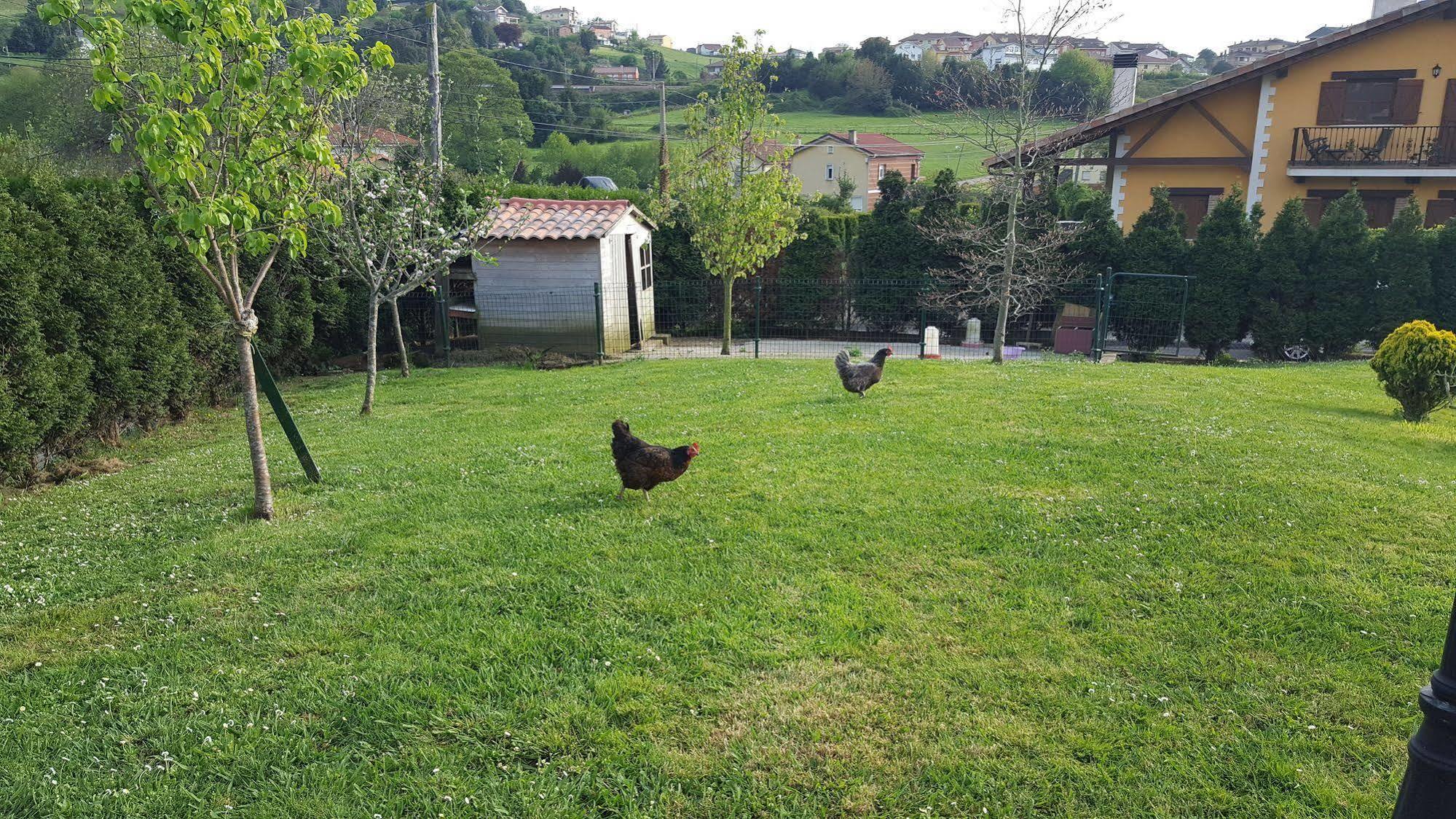 Hotel Rural Foncubierta 索托-德尔巴科 外观 照片